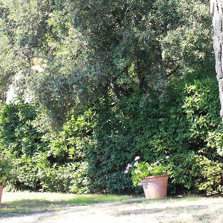 Villetta La Pineta Latignano Luaran gambar