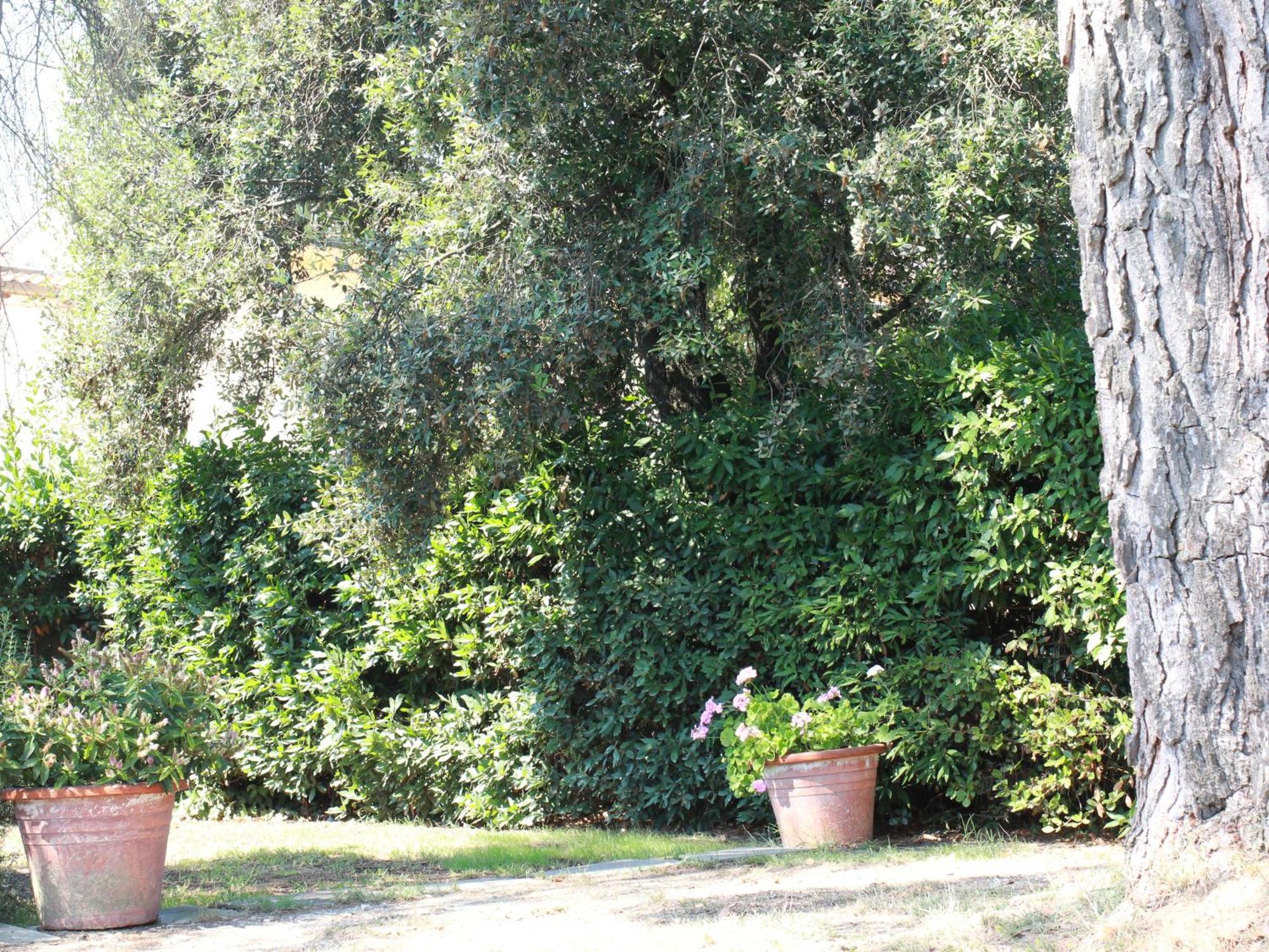Villetta La Pineta Latignano Luaran gambar