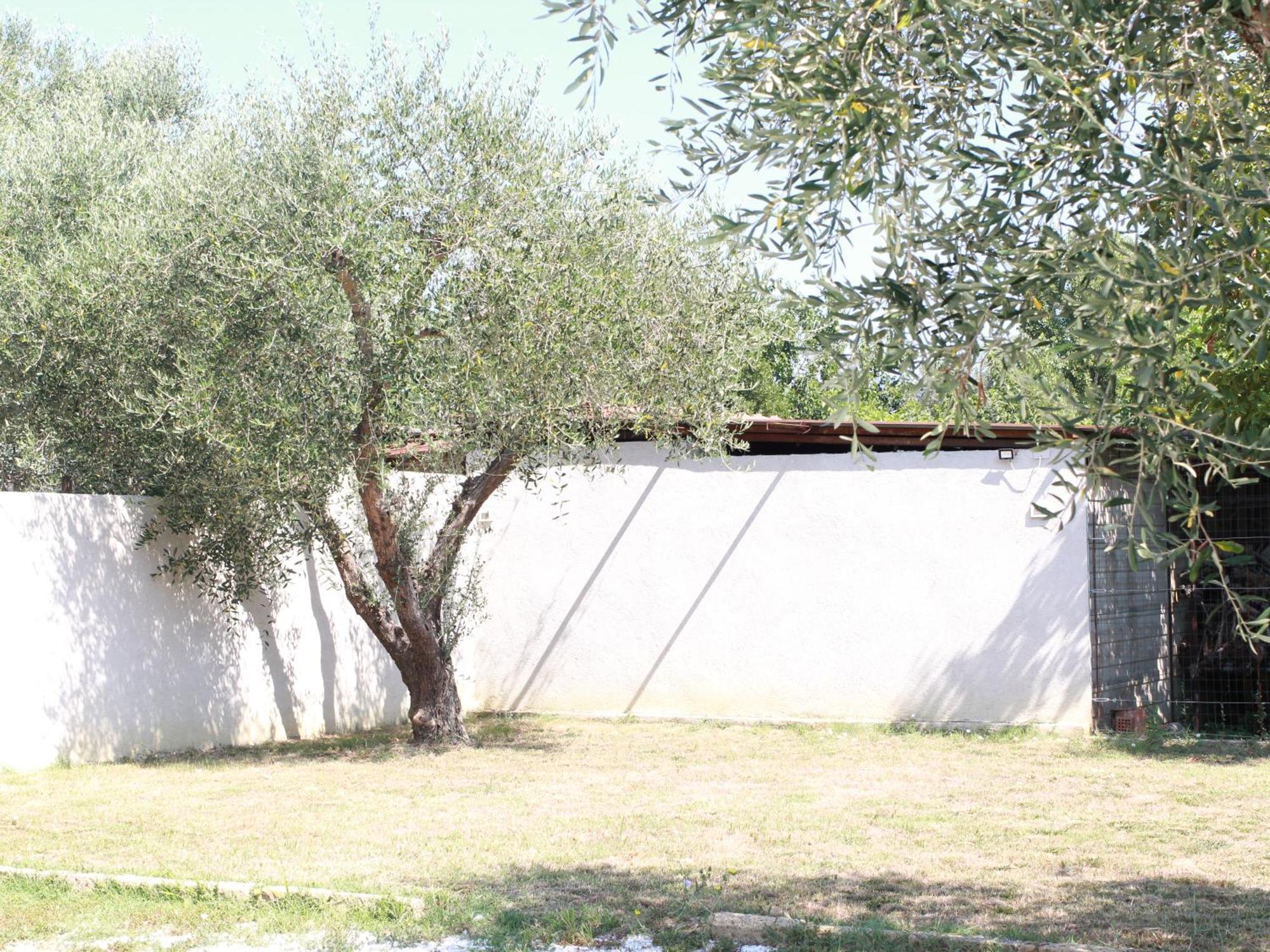 Villetta La Pineta Latignano Luaran gambar